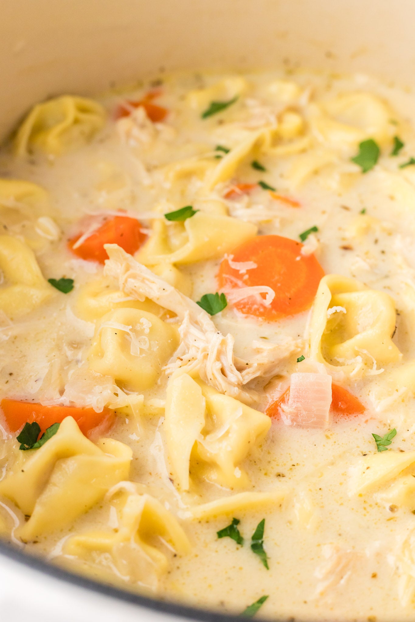 Creamy Chicken and Tortellini Soup