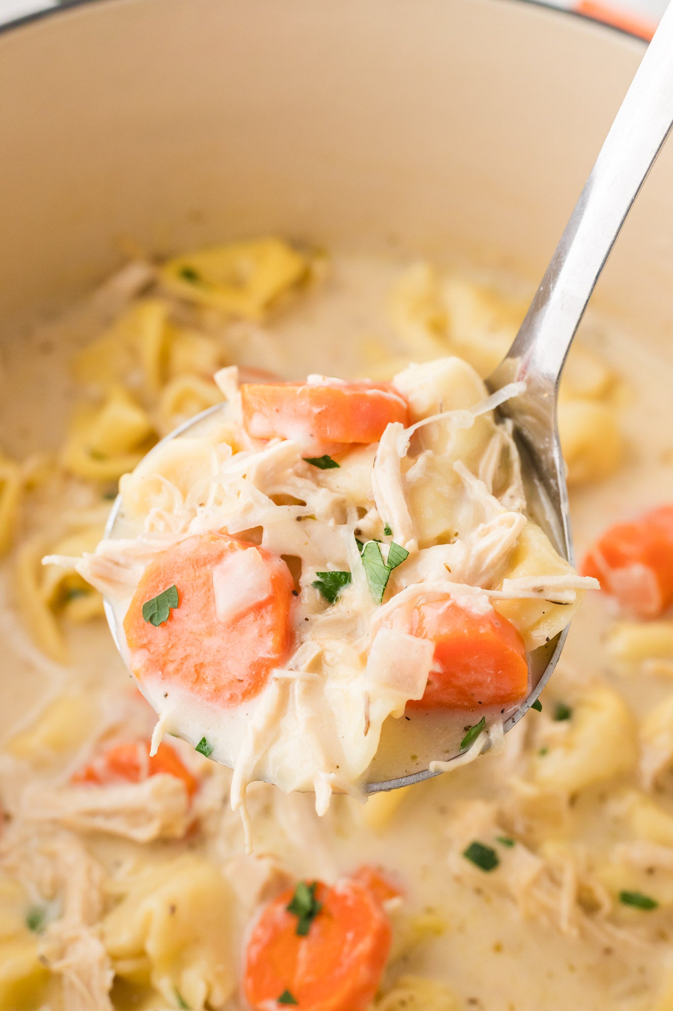 Creamy Chicken and Tortellini Soup