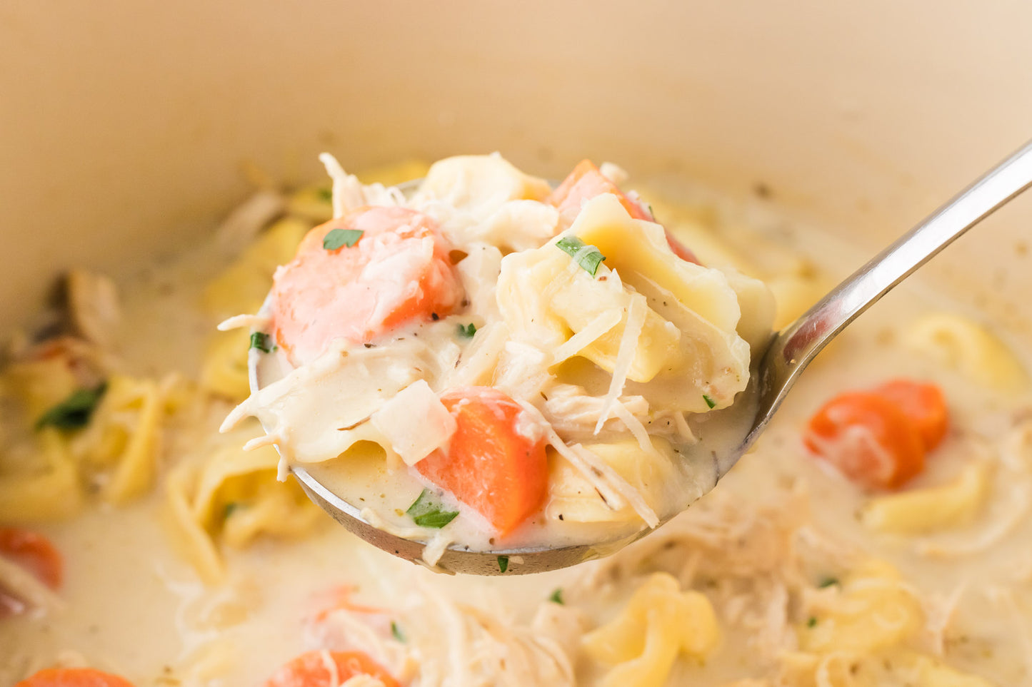Creamy Chicken and Tortellini Soup